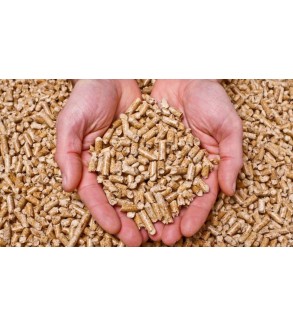 Wood pellets Biobrasa